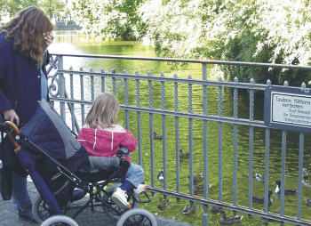 Sachsenmeyer-Fotos: tsch, wir sind die Enten